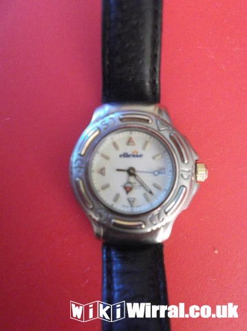 Attached picture Ellessee watch.jpg